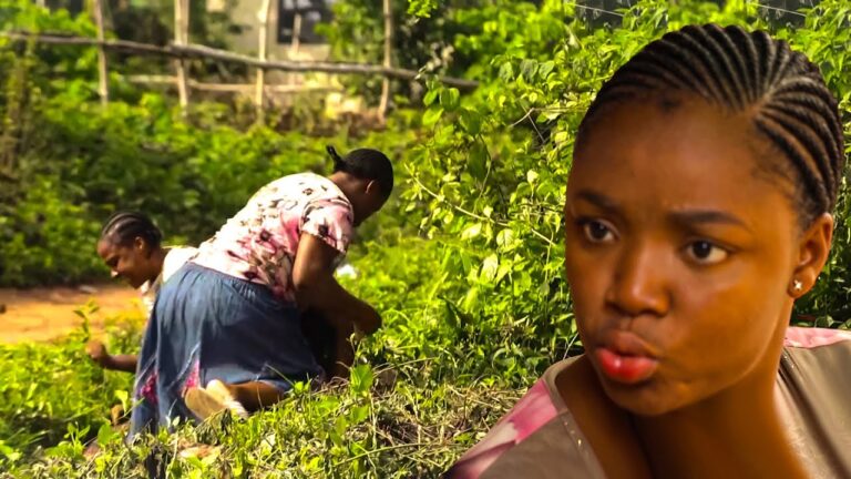 Download Movie: Father’s Inheritance [Full Movie]