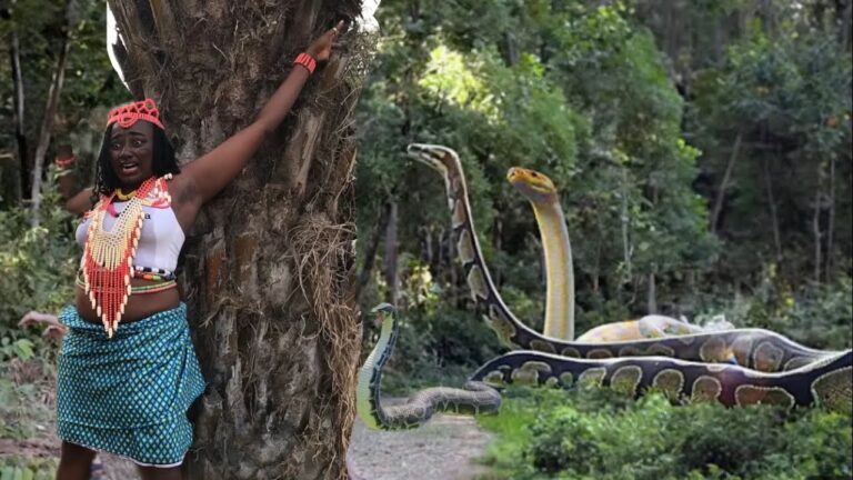 Download Movie: Snake Attack Girls In Forest [Full Movie]